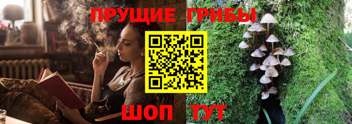 Ульяновск  Галлюциногенные грибы ЛСД  Вход с VPN  Псилоцибиновые грибы GOLDEN TEACHER 