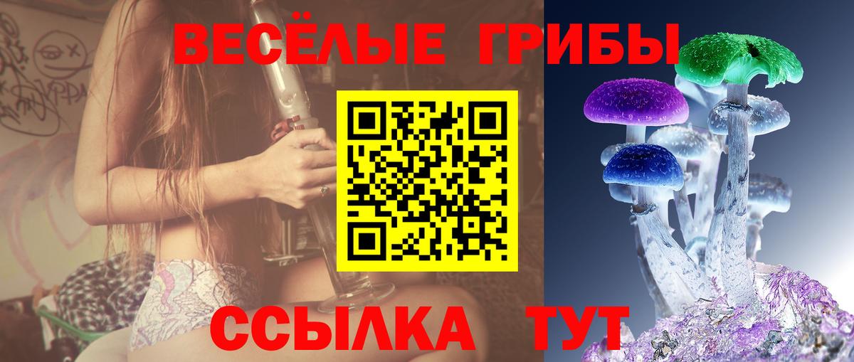 Галлюциногенные грибы GOLDEN TEACHER Ульяновск